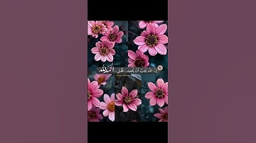 #القارء #تيكتوك #اسلامي #لايك #تلاوات #تلاوه