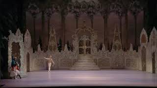 Steven McRae - Miyako Yoshida  Coda The Nutcracker