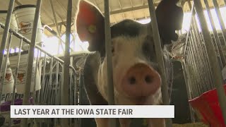 Last year at the Iowa State Fair