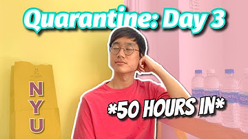 Isolated From Society During Quarantine at NYU