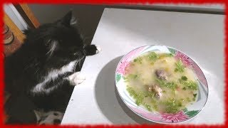 Суп затирка с курицей (затируха). Суп затирка с курицей (затируха).