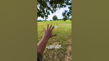 تلاوة خاشعة تهز القلوب🥺💔