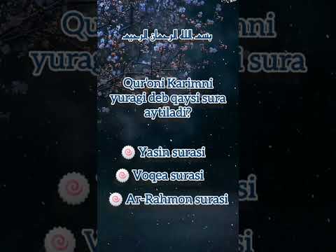 Muslim Box [Musulmonlar