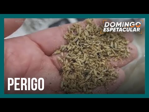 Vídeo: Fazer superdrogas com agulha?