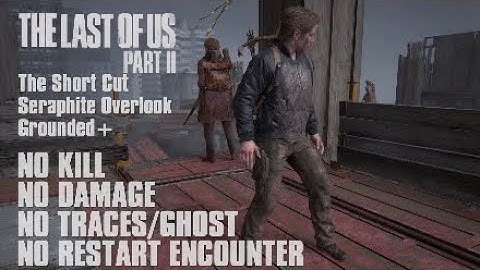 TLOU2 | Seraphite Overlook | Abby | Grounded+ | NO KILL | NO DAMAGE | NO TRACES | NO RESTART