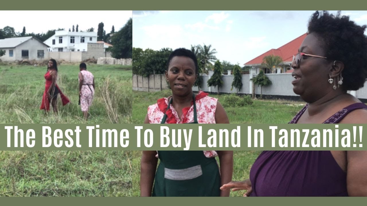 The Best Time To Buy Land In Tanzania!! YouTube