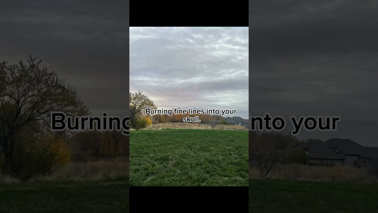 Dandelions by Hawthorne Heights Everything Burns (feat. Beartooth)