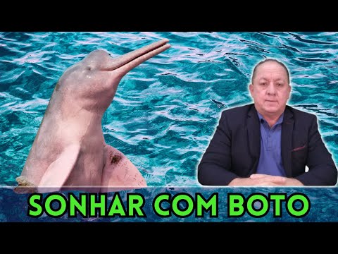 O QUE SIGNIFICA SONHAR COM BOTO