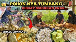 Download Lagu PANEN KELAPA DI KEBUN | Membuat Ketupat dan Gulai Umbut Kelapa MP3