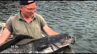 Catfishing Ebro 2011.mp4
