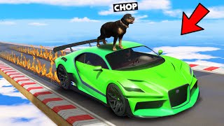 GTA 5 CHOP BOUGHT THE FASTEST CAR MONEY CAN BUY IN ONLINE screenshot 4