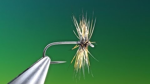 Hackle technique with Barry Ord Clarke