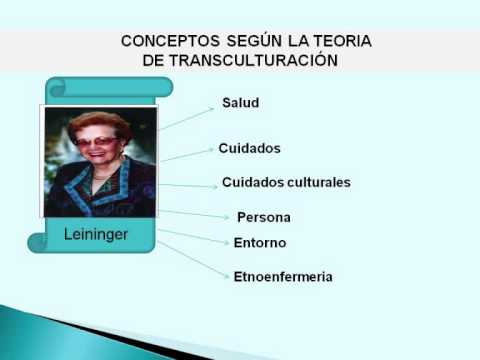 Vídeo: Quina és la teoria de la infermeria de Leininger?