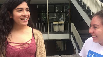 Entrevista preguntas mixtas