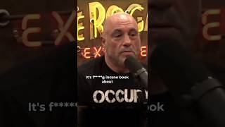Joe Rogan Talks About The Mirror You Left Behind By Elena Daren