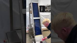 Asmech Systems Ltd - Flighted Modular Belt Conveyor