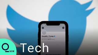 Trump's Twitter Ban Is Permanent—Even If He Runs for Office Again, CFO Says