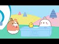 Molang &amp; Piu Piu | The instructions | Molang Funny Cartoons | Pop Teen Toons