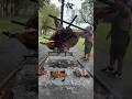 Whole Steer Cooked At 2023 Texas Open Fire Meat Up In Hondo Texas