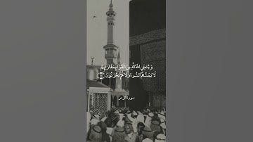 وَيَوْمَ الْقِيَامَةِ تَرَى الَّذِينَ كَذَبُوا || سورة الزمر || علي جابر