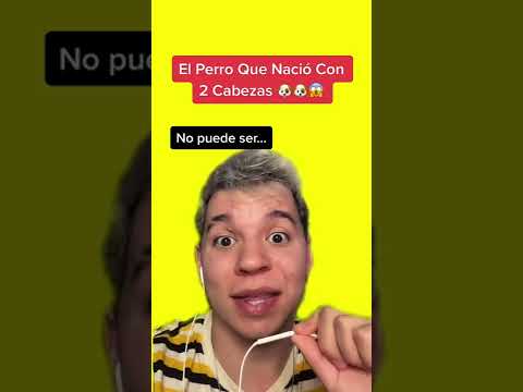 El Perro Que