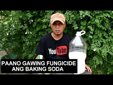 Video: Baking Soda Para Sa Nutrisyon Ng Halaman At Iba Pa