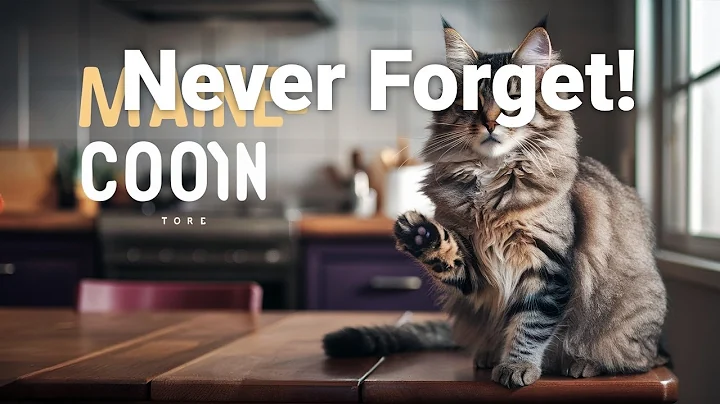 Video 6161211: maine coon litter, maine coon cleaning, cat