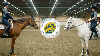 Teoriveckan - Sits och balans under markarbete och hoppning