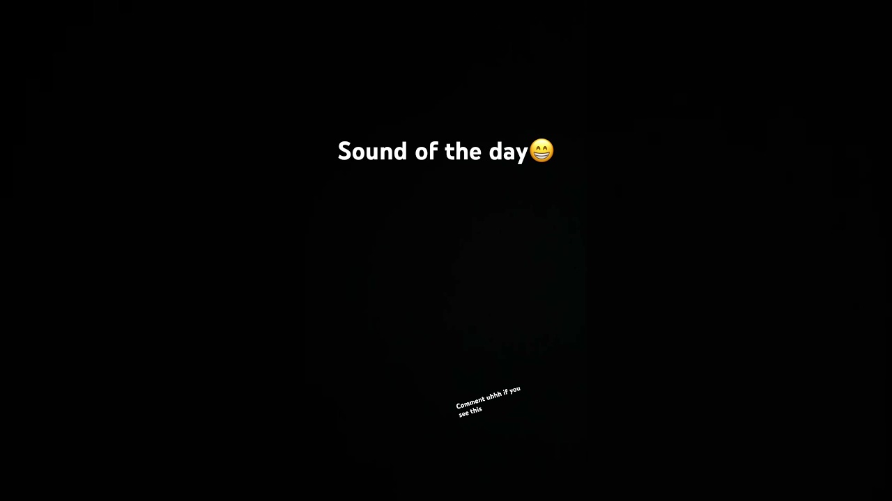 Sound of the day 