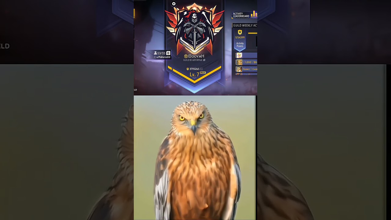 COMMENT YOUR GUILD'S NAME & ACHIEVEMENTS BELOW 