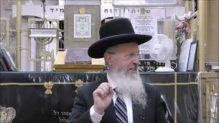 הגאון הרב אברהם יוסף  אין המפטיר מפטיר עד שיגמור הגולל לגלול הספר תורה סימן רפד סעיף ו אדר א' תשפ''ד