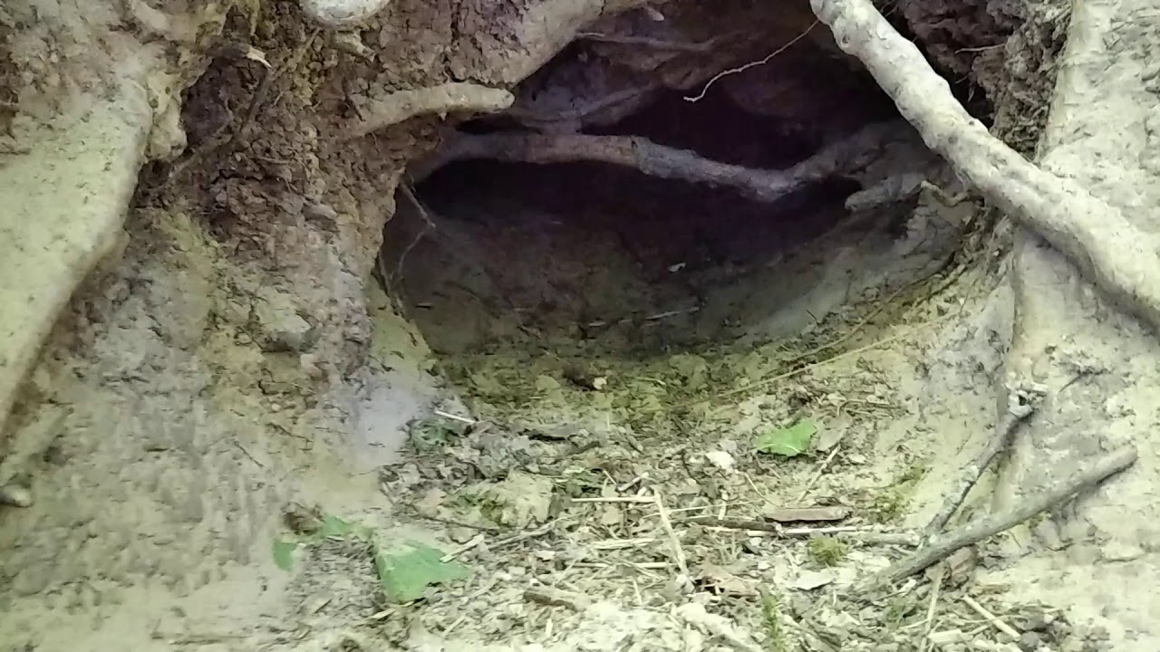 Дырка в бампере