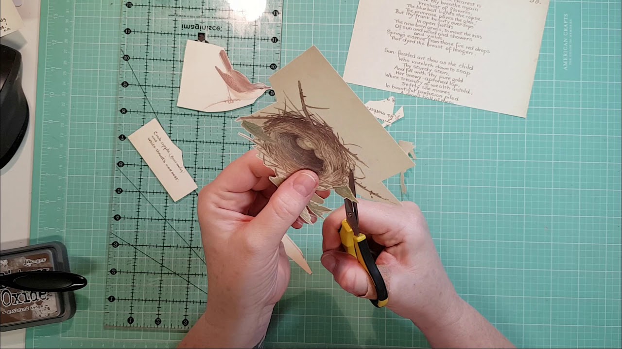 A Country Diary for Springtime - A Little Notebook - Part Six ...