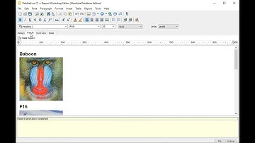 Making reports with ReportWorkshop and Absolute DB