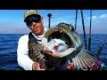 Kayak Fishing for Lingcod in Great White Country | West Coast | Field Trips with Robert Field