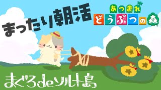 【朝活】アセロラさん来島！まぐろdeソルト島🌊🌴【あつまれ！どうぶつの森/むぅたま VTuber】