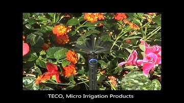 Béc Tưới Phun Mưa Bù Áp Teco Aquila 180 độ, 40l/h | Mã 020288 | 028 3784 0622