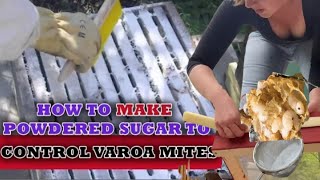 Treating a hive with powder sugar for Varroa Mite (Destructor) Resimi