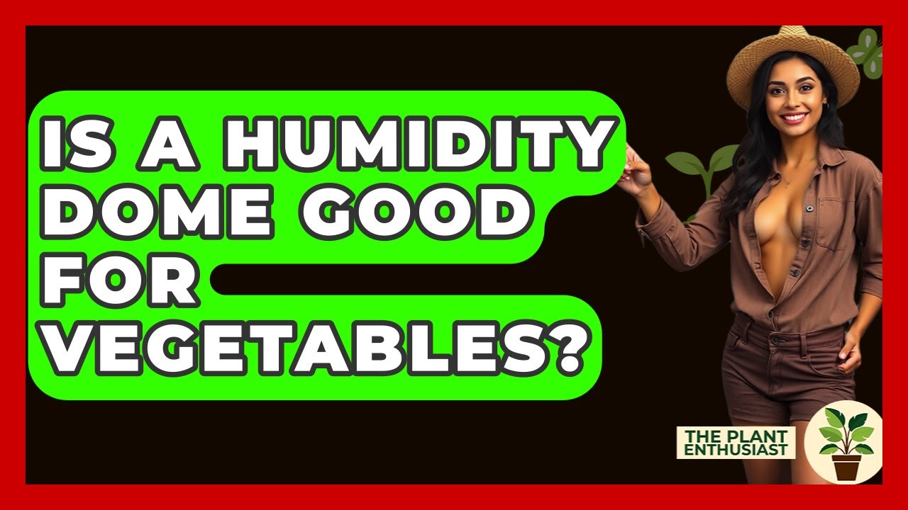 Is A Humidity Dome Good For Vegetables? - The Plant Enthusiast
