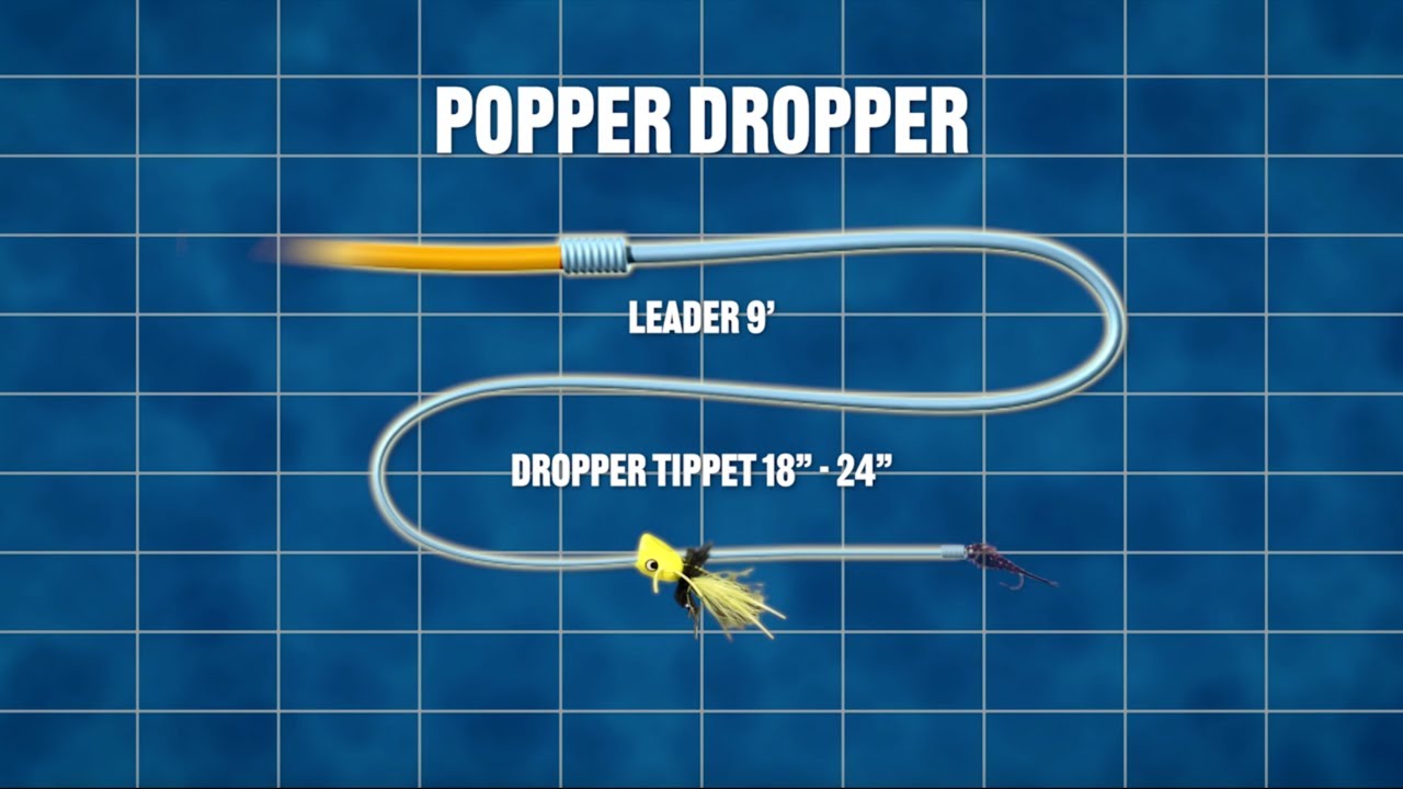 Drooper Rig Dropper Rigs Aren't Just for Trout ! - YouTube