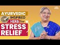 Herbal tea for stress anxiety  depression  instant remedy  basil or tulsi tea i ayurvedic remedy