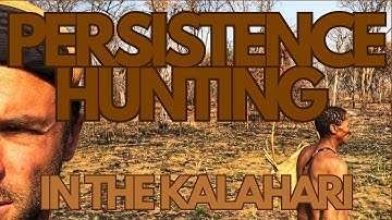 Successful Persistence Hunting in the Kalahari - World First?