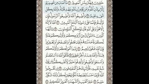 سورة التغابن 11-18 (٥٥٧)     Sheikh Anas AlHibri