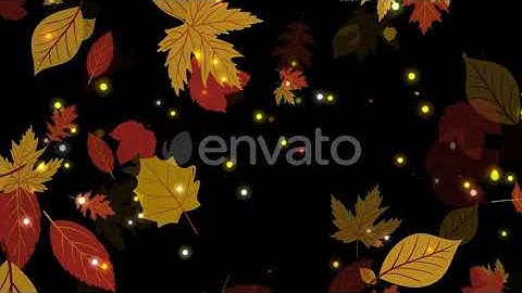Leaf Falling Overlays | Motion Graphics - Envato elements