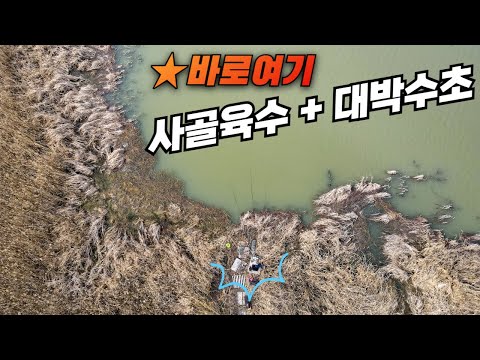 탐나는 수초에 사골육수 찐한 물색으로 <strong>낚시꾼</strong> 홀리는 포인트