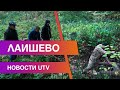 Новости Лаишевского района от 1 октября на#UTV