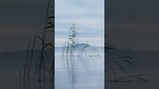 Golden sunrise - nature meditation 2