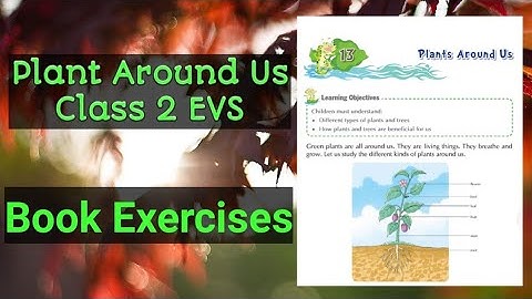 Plants Around Us- Book Exercises | Class 2 EVS chapter-13
