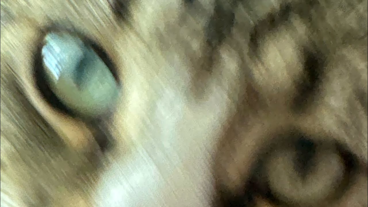 i-wonder-if-blonde-hair-suits-me-youtube