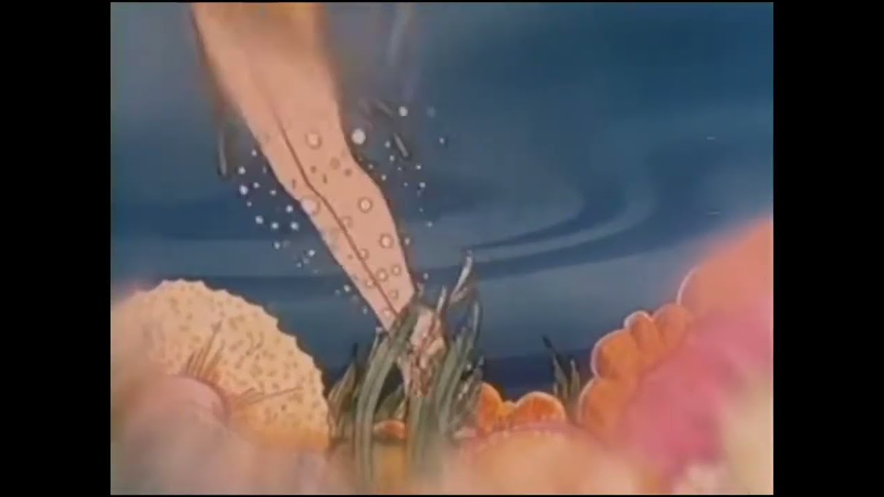 Clairol Herbal Essence shampoo (1973)